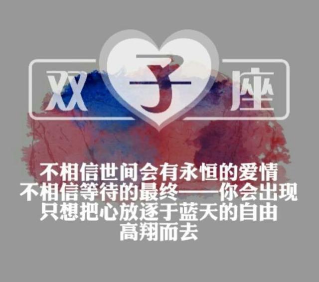 双子座：纵然疾风起，一生不言弃