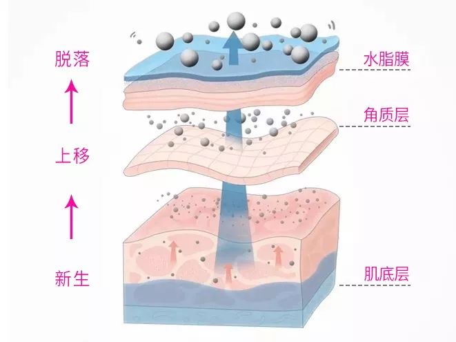 12星座 | 支撑你强大的是信念还是欲望？