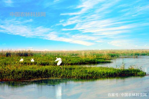 风水宝地马骝山！一县一品公益助农，河北海兴特色农产品冬枣