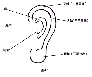 面相算命图解,面相耳朵