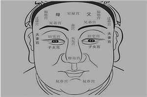 算命看面相,面相十二宫,面相基础知识