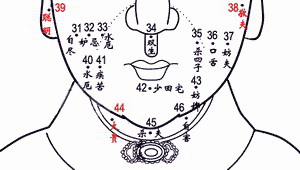 嘴上长痣,面相